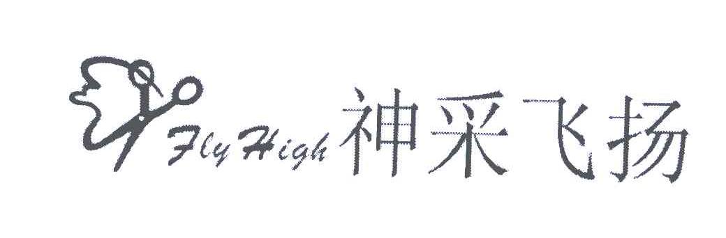 神采飞扬 FLY HIGH