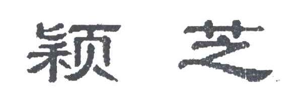 颖芝