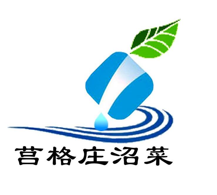 莒格庄沼菜