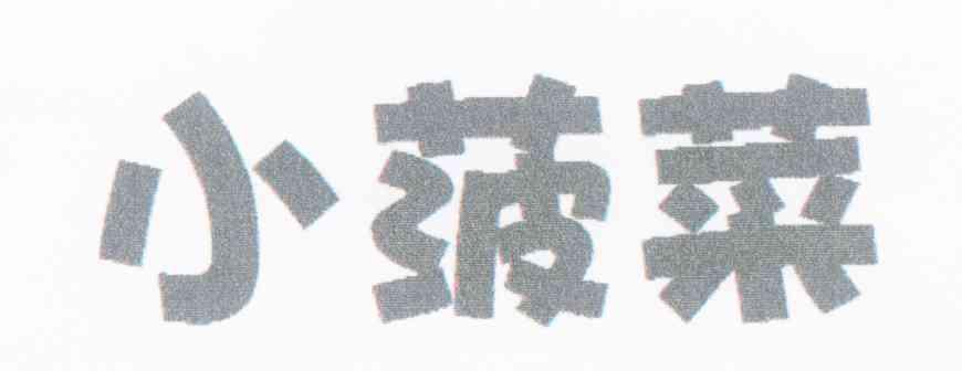 小菠菜