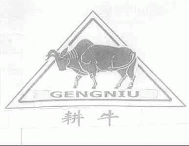 耕牛