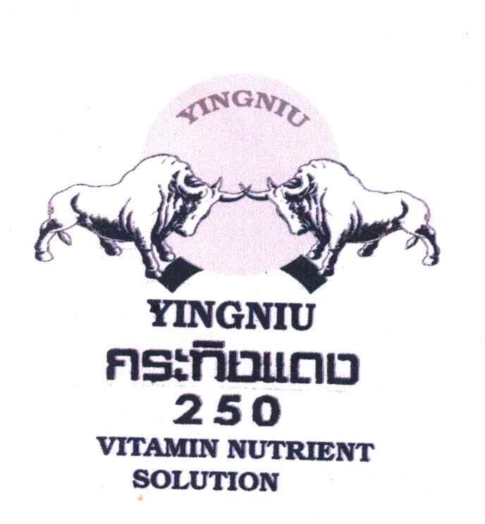 YINGNIU FISNOLLOO VITAMIN NUTRIENT SOLUTION 250