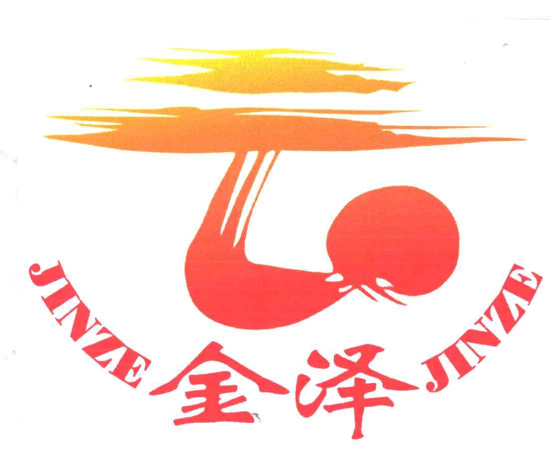 金泽;