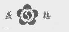 盛梅