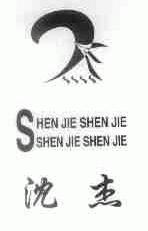 沈杰;SHEN JIE SHEN JIE