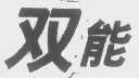 双能