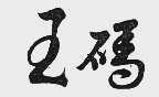 王码