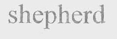 SHEPHERD