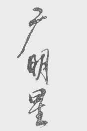 广明星