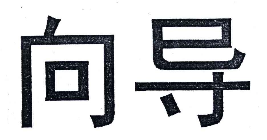 向导