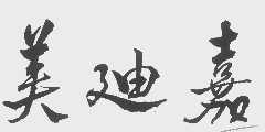 美迪嘉