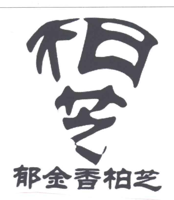 郁金香柏芝