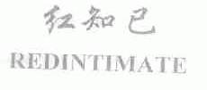 红知己;REDINTIMATE