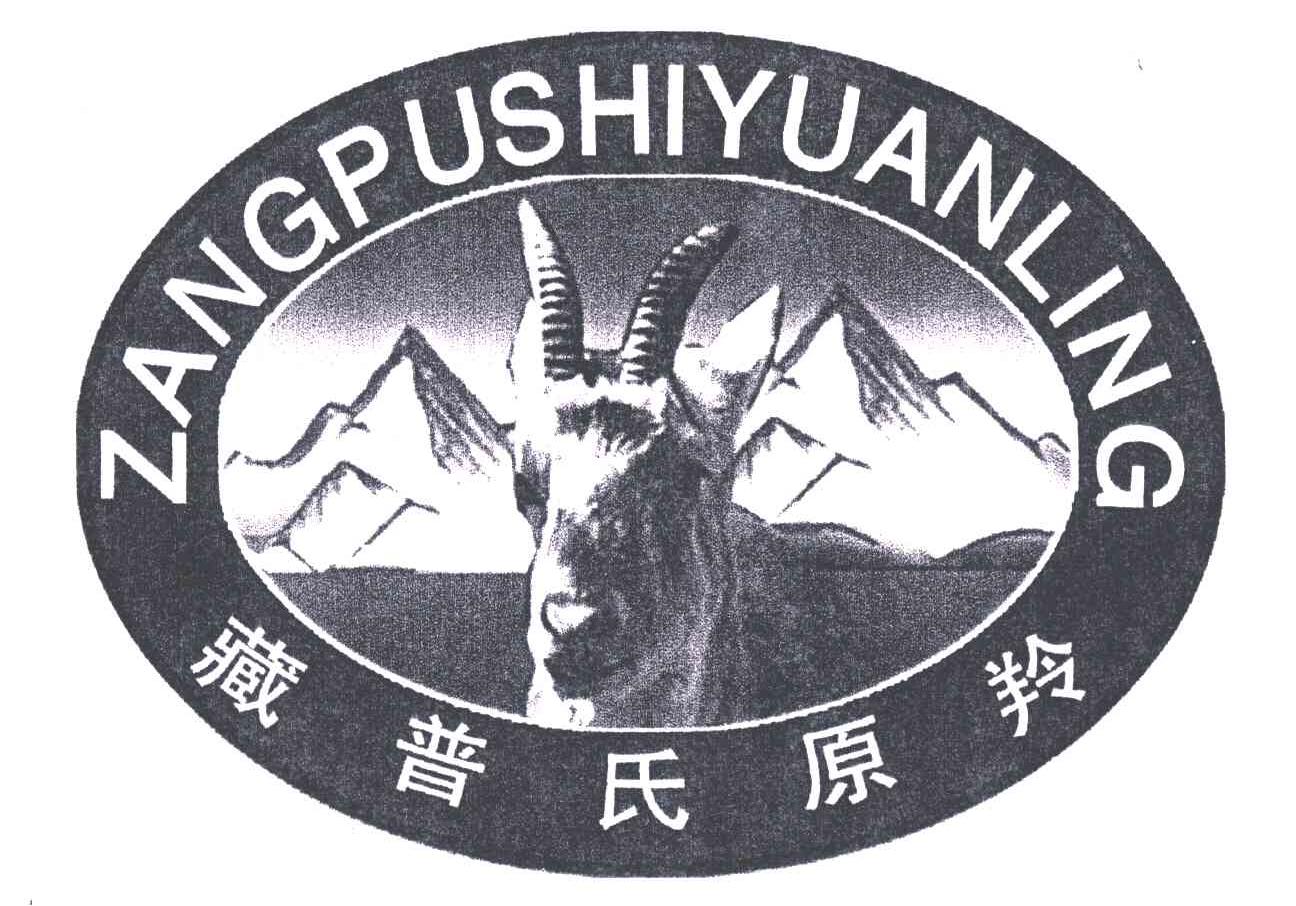 藏普氏原羚