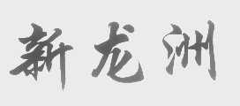 新龙洲