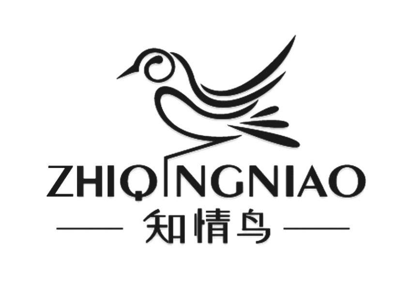 知情鸟