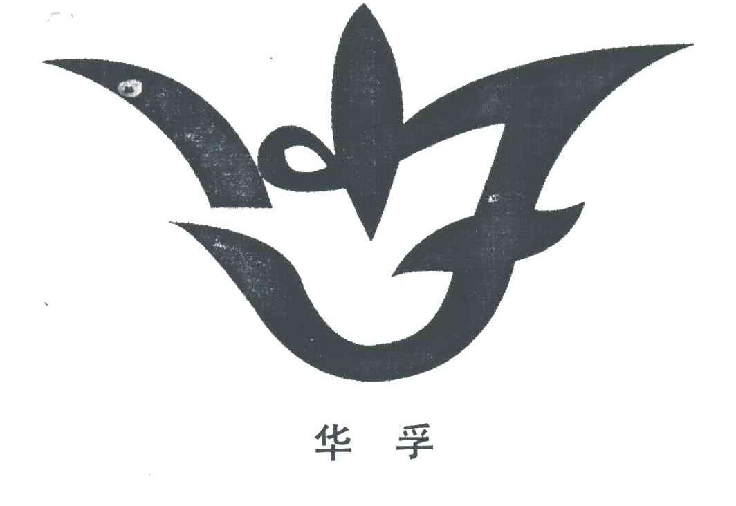 华孚