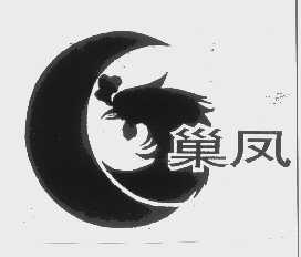 巢凤