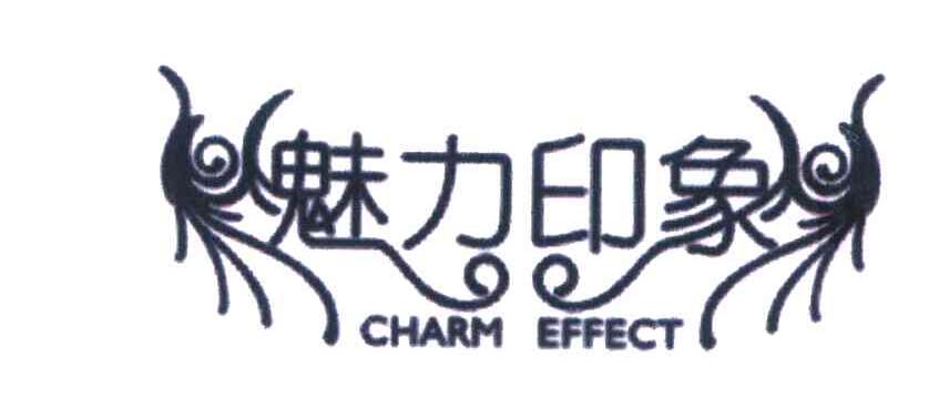 魅力印象 CHARM EFFECT