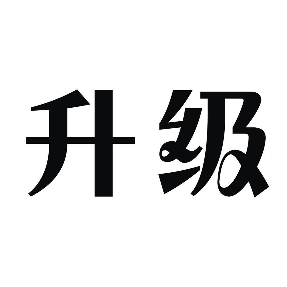 升级