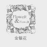 金银花   FLOWER & FLOWER