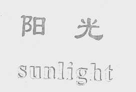 阳光   SUNLIGHT