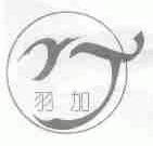 羽加