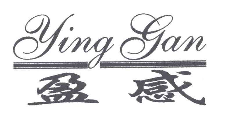 盈感