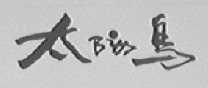 太阳鸟