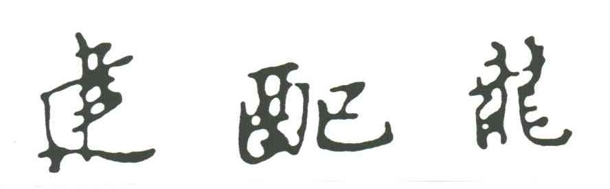 建配龙