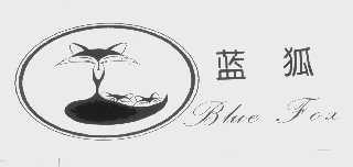 蓝狐   BLUE FOX