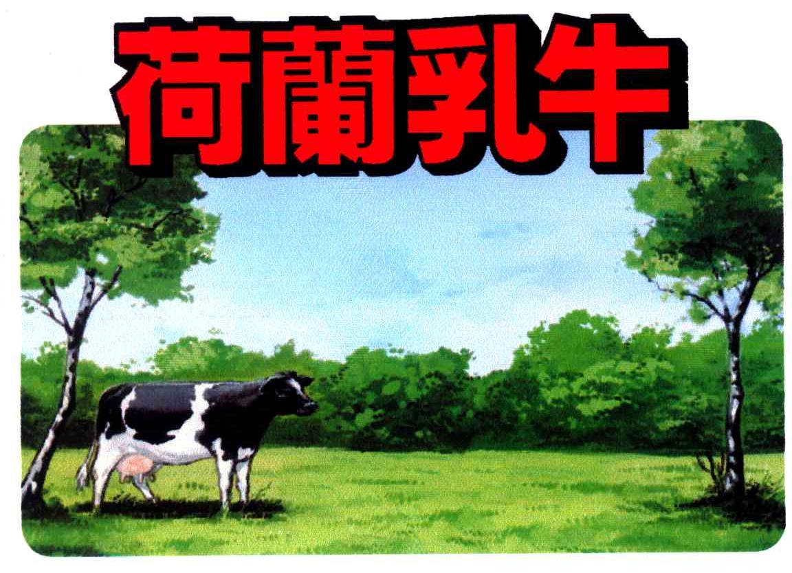 荷兰乳牛