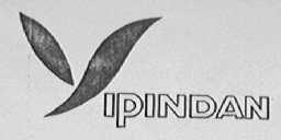 YI PIN DAN