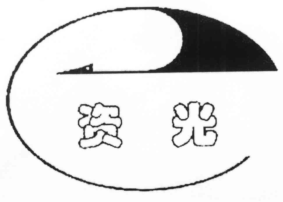 资光