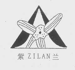 紫兰