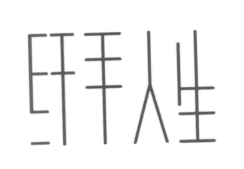 纤手人生