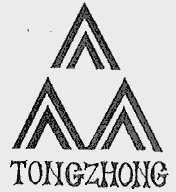 TONG ZHONG