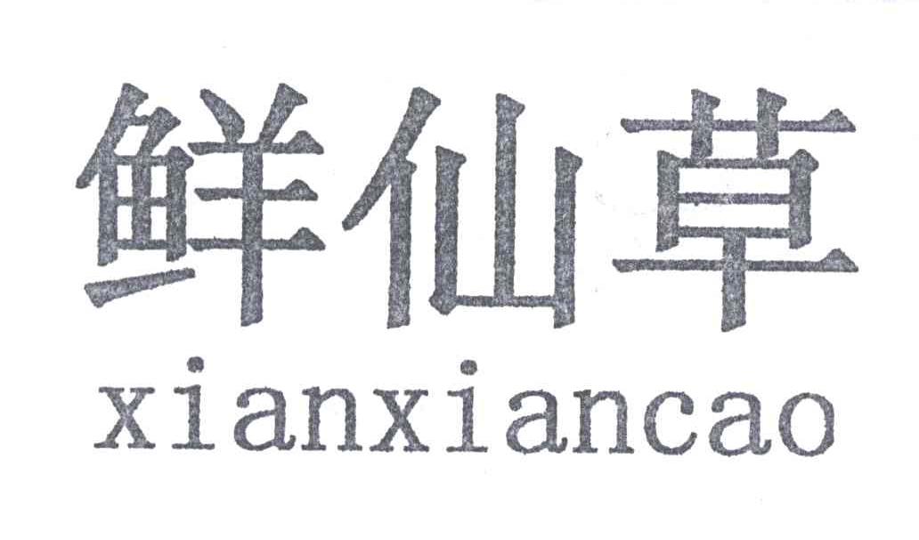 鲜仙草