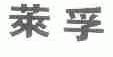 莱孚