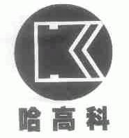 哈高科