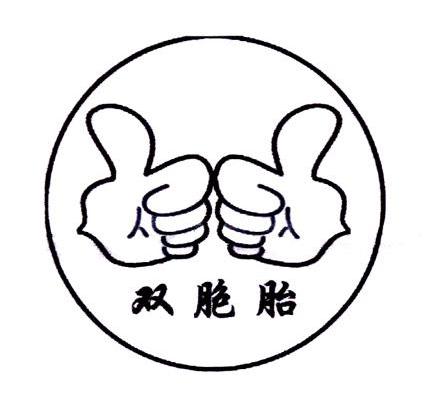 双胞胎