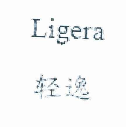 轻逸 LIGERA