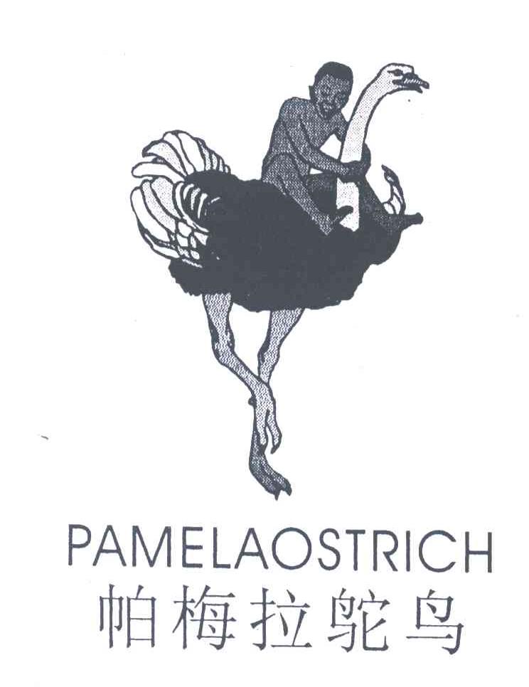 帕梅拉驼鸟;PAMELAOSTRICH