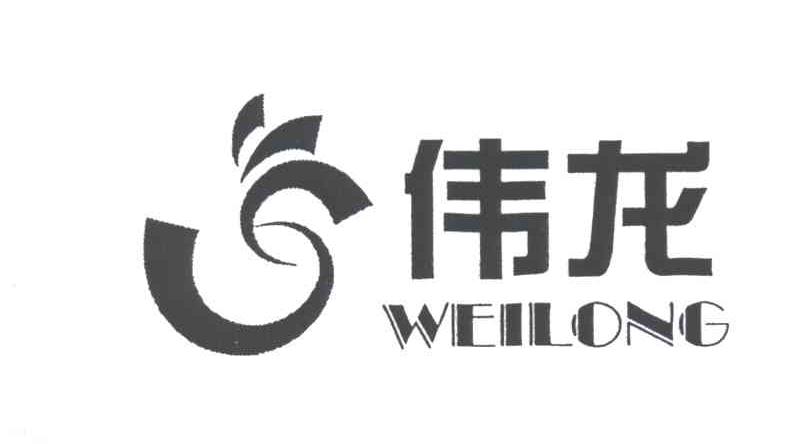 伟龙