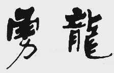 勇龙