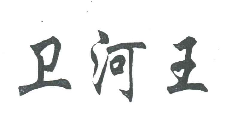 卫河王