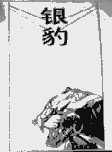 银豹