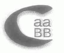 AA BB