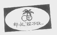 椰风"挡不住"