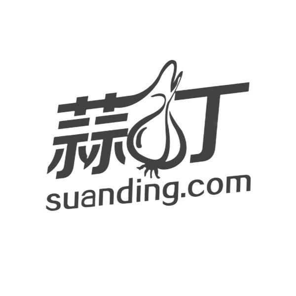 蒜丁 SUANDING.COM